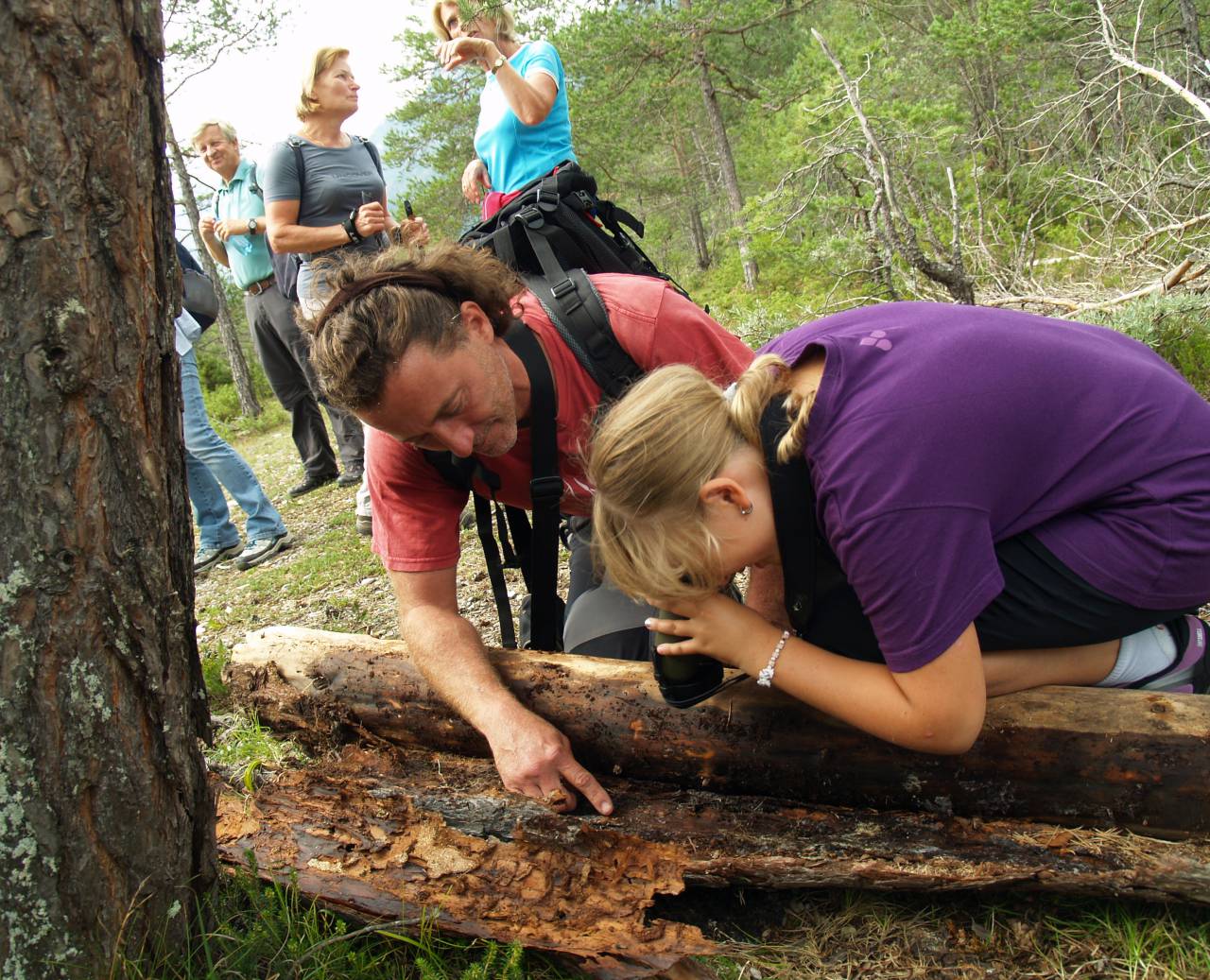 Nature guide showing a child details on a tree trunk during a forest hike