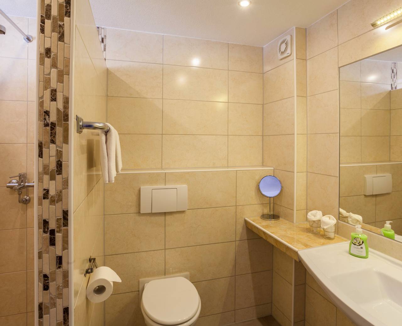 Moderne badkamer met grote douche, toilet en heldere spiegel