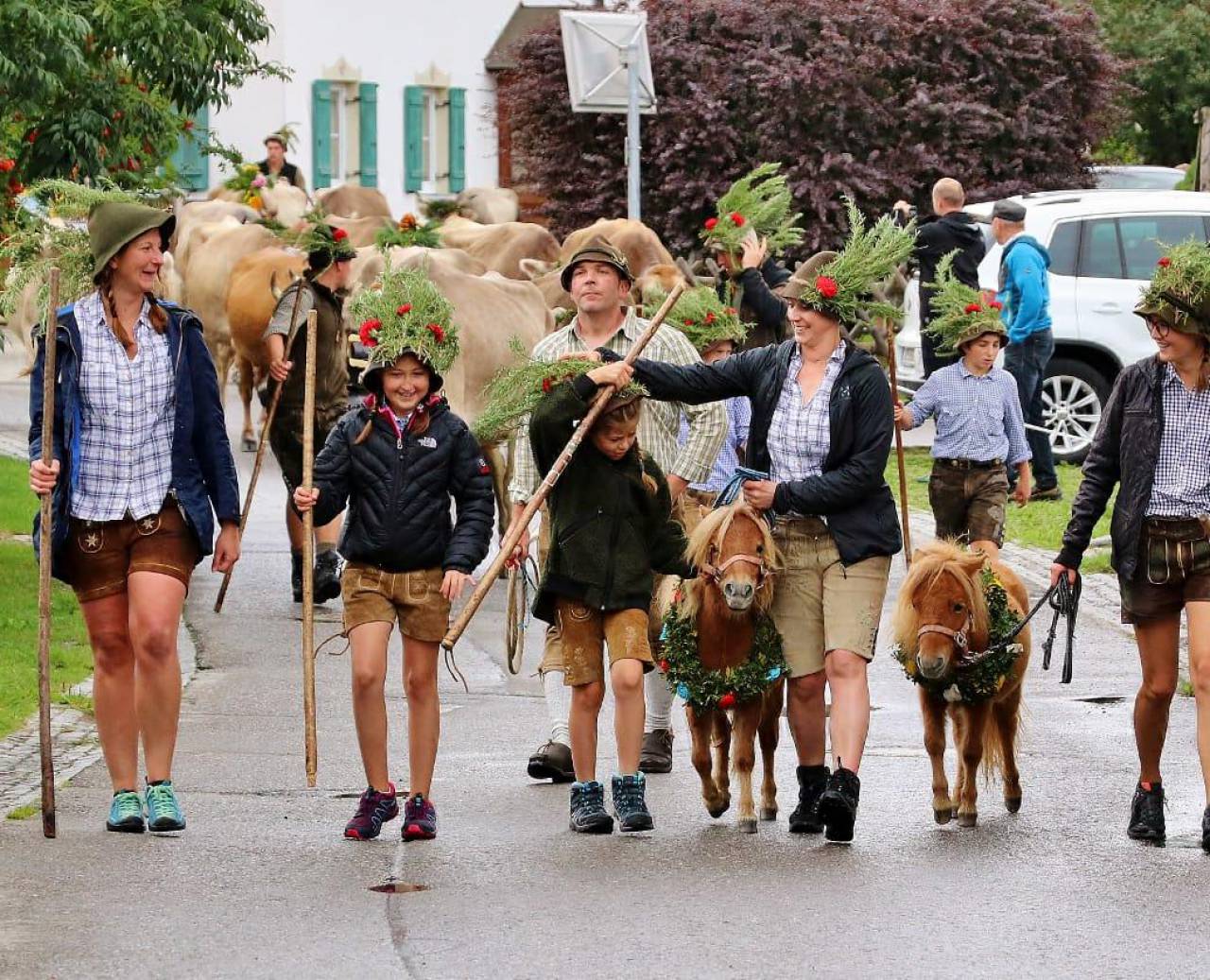 Cattle drive with decorated ponies and people in traditional costumes