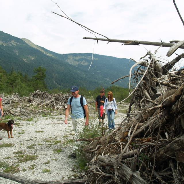 Wandergruppe mit Hund erkundet eine Gerölllandschaft in den Bergen