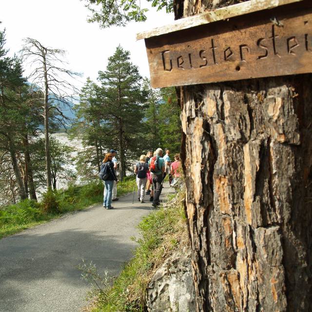 Wanderer auf dem Geisterstein inmitten eines dichten Waldes bei sonnigem Wetter
