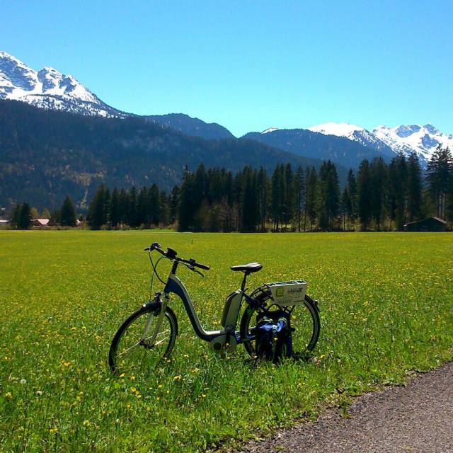 E-bike on a meadow in nature with mountain panorama