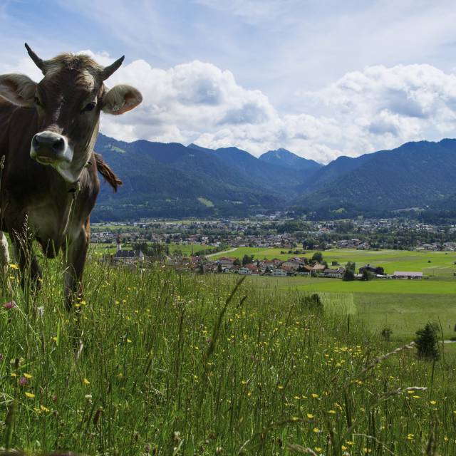 21.09.25 - Oktoberfest mit der Musikkapelle Musau -