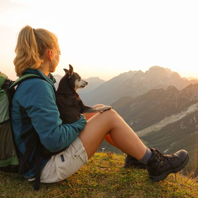 Vakantie met een hond