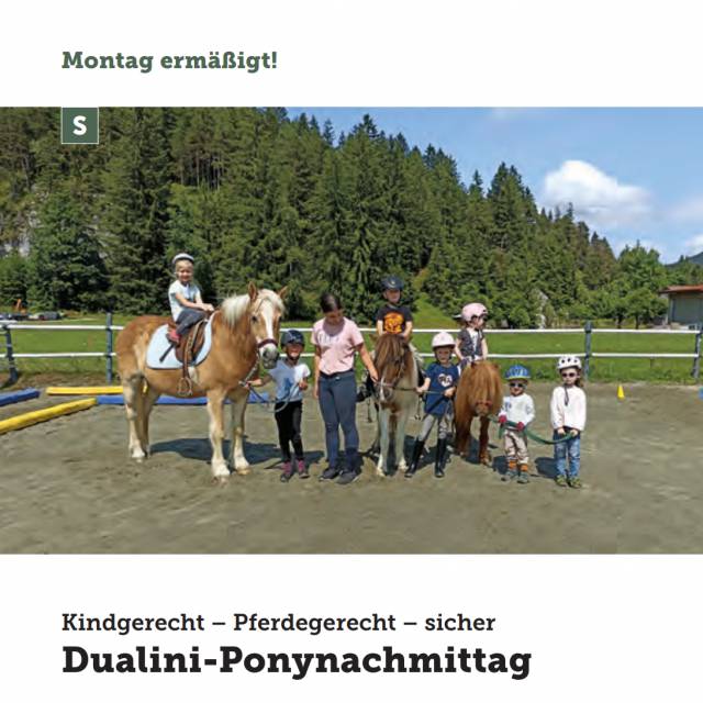 Dualini-Ponynachmittag. Kindgerecht - Pferdegerecht - sicher