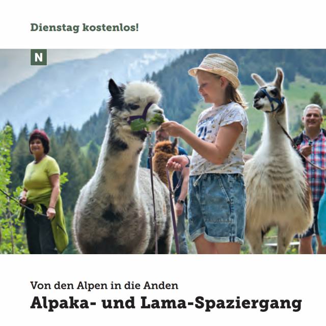 Alpaka- und Lama-Spaziergang. Von den Anden in die Alpen.