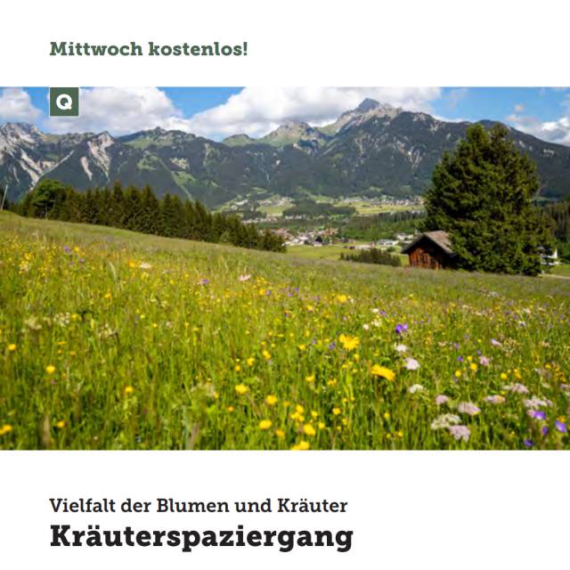 Die Vielfalt der Blumen und KrÀuter entdecken bei der KrÀuterwanderung