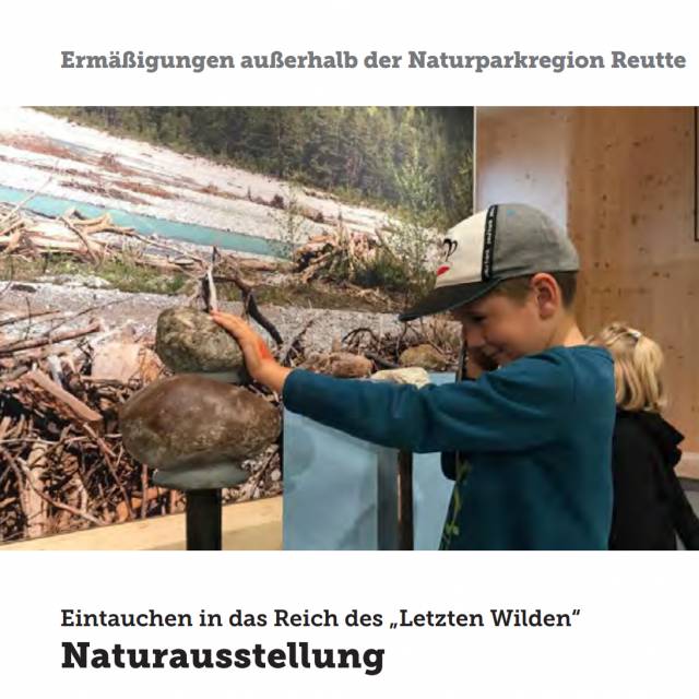 Naturausstellung in Elmen - Eintauchen in das Reich des âLetzten Wildenâ