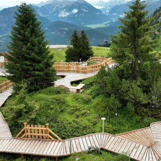 Wooden walkways winding through alpine meadows with mountain views