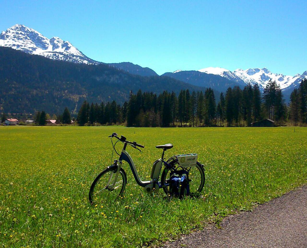 E-Bike auf einer Wiese in der Natur mit Bergpanorama