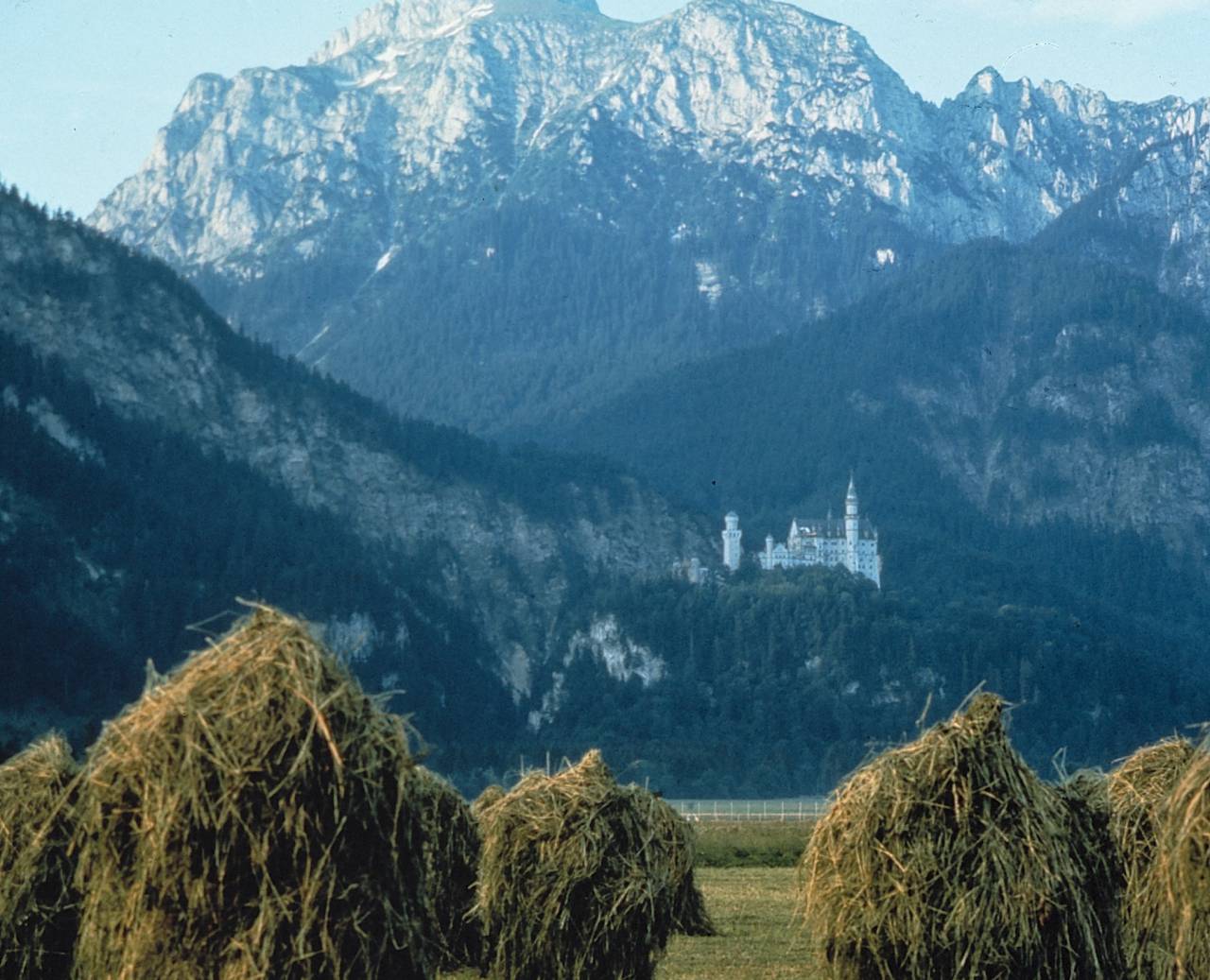 Schloss Neuschwanstein auf einer Anhöhe im Wald in den Bergen