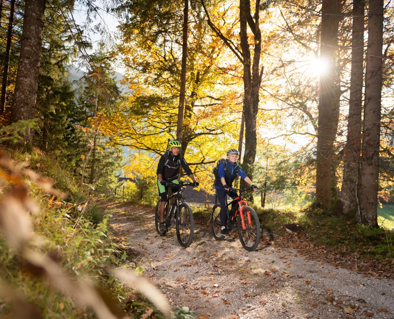 Radfahrer mit E-Bikes auf einem Waldweg im Herbst