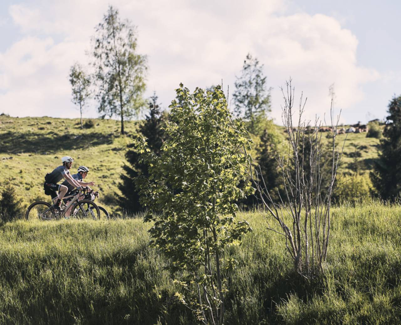 Radfahrer auf einer Bike-Tour in den Bergen im Sommer