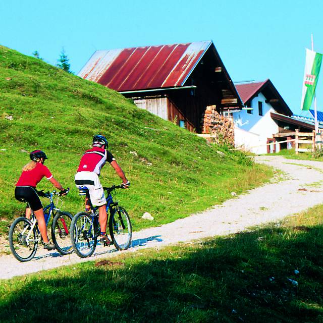 Bike tour to the alpine pastures and huts - 