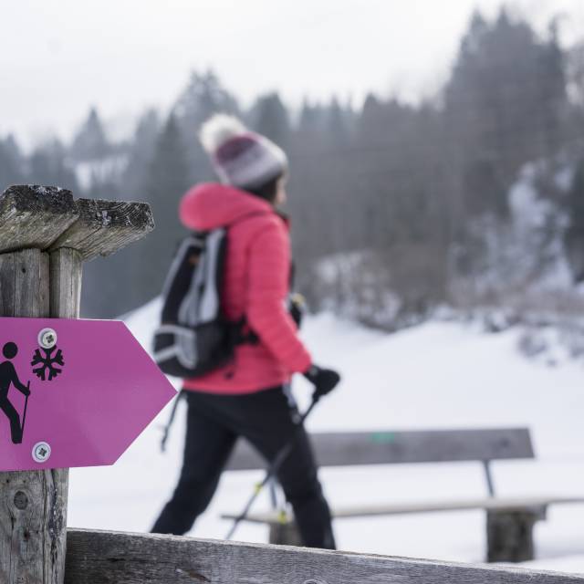 Actieve kaart Winter