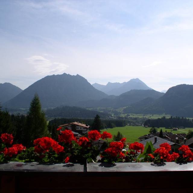 Ausblick vom Panorama Studio