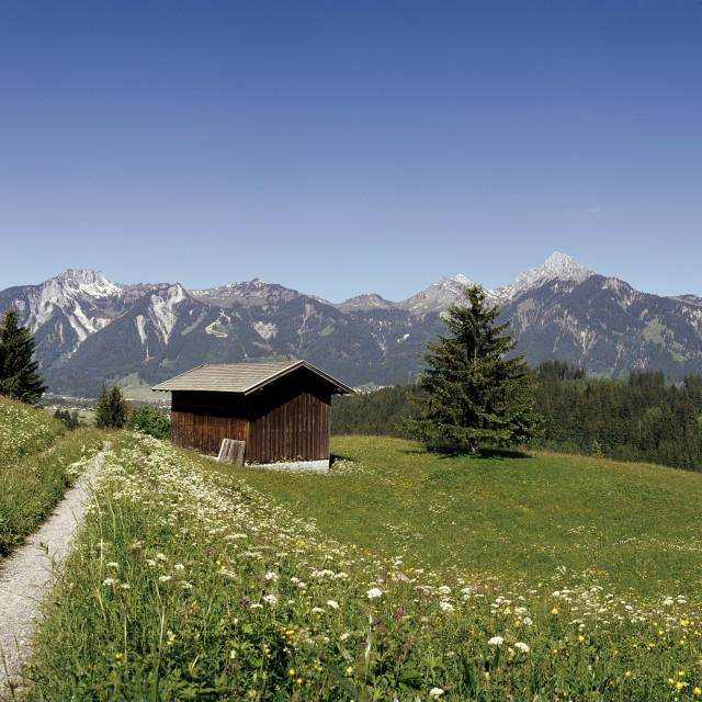 Ausblick von einem Wanderweg auf die Wald- und Bergkulisse im Sommer