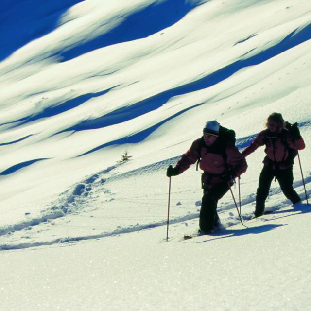 Downhill & cross-country skiing