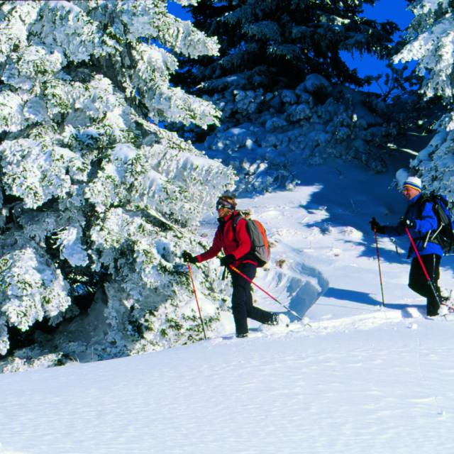 Actieve Winter