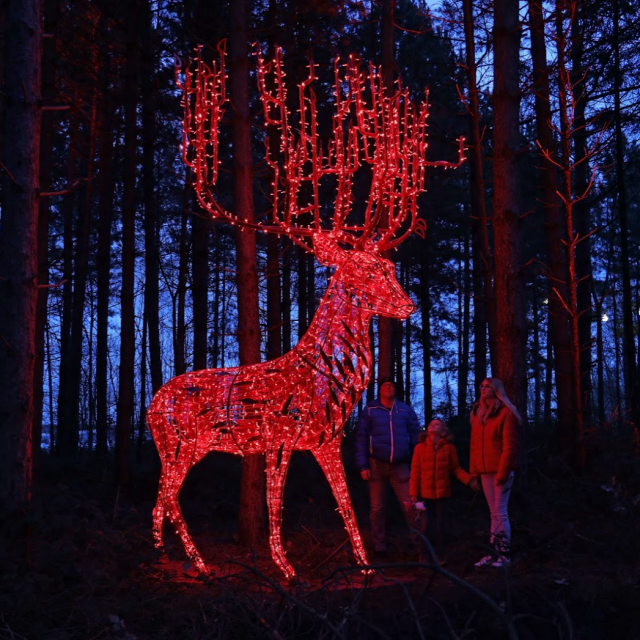 Familie und eine beleuchtete Rentierskulptur im Wald