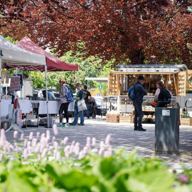 10.05.25 - Frühlingsmarkt - 