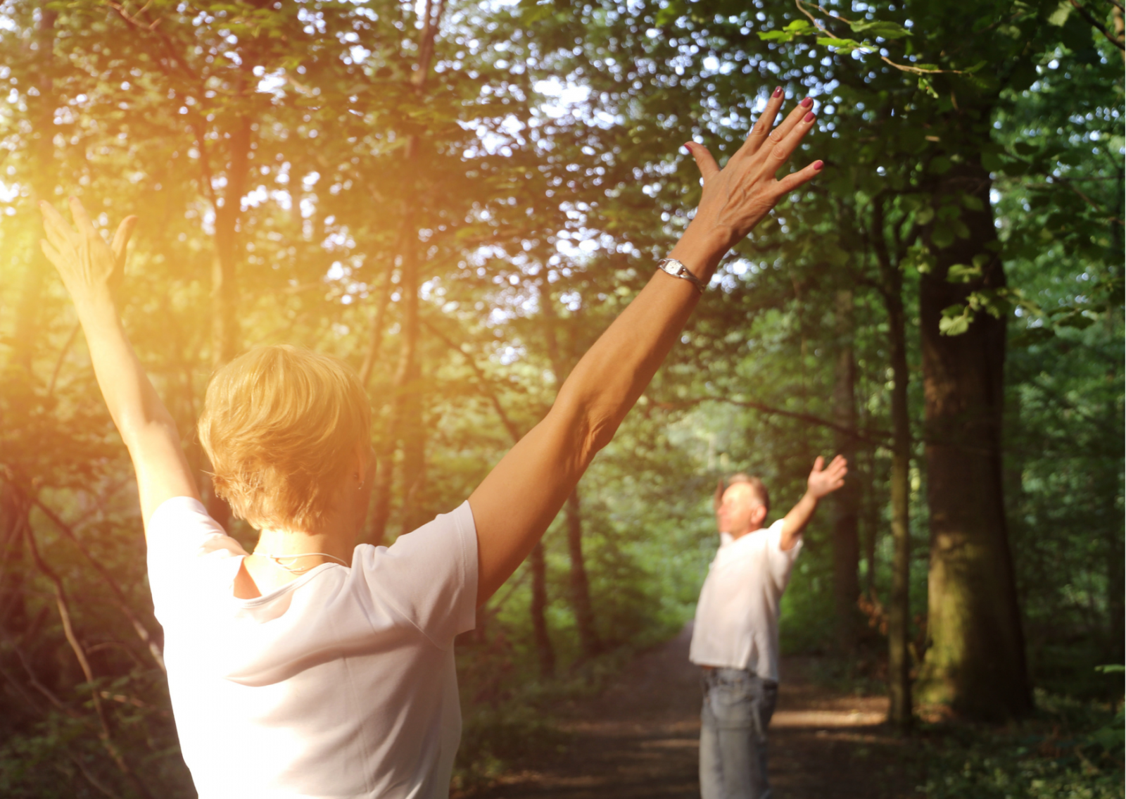 Waldbaden - Eintauchen in die heilsame Kraft der Natur Symbolfoto