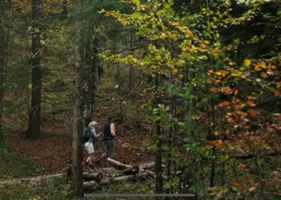 Bergherbst - Wandern und Radfahren